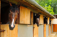 free Cunninghamhead stable construction quotes